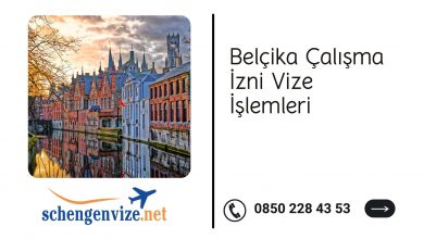 Belçika Çalışma İzni Vize İşlemleri