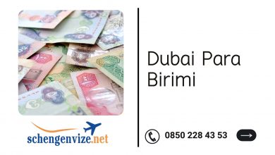 Dubai Para Birimi