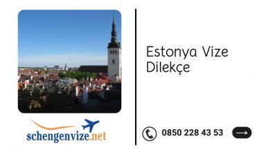 Estonya Vize Dilekçe
