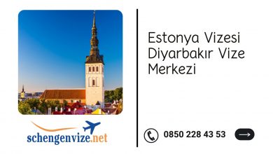 Estonya Vizesi Diyarbakır Vize Merkezi