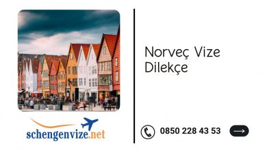 Norveç Vize Dilekçe